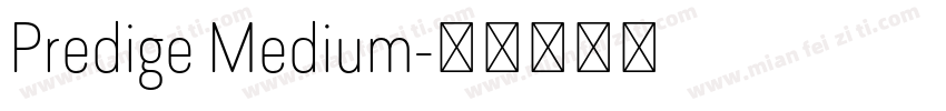 Predige Medium字体转换